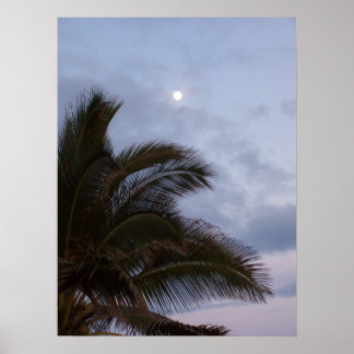 Palm Trees in Paradise Poster
