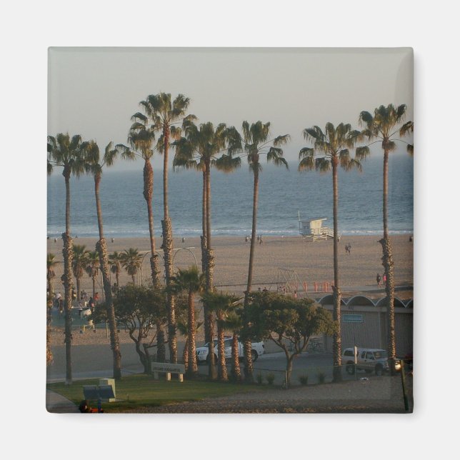 Palm Trees in Santa Monica Magnet (Front)