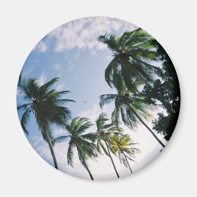 Palm trees Magnet (Front)
