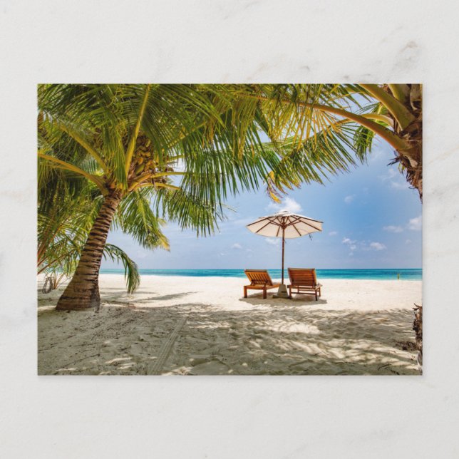 Palm Trees | Moody Sky Postcard (Front)
