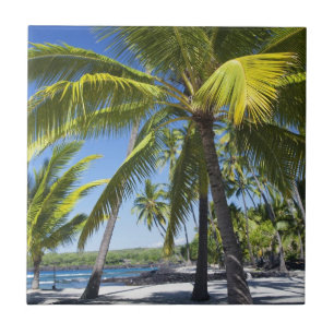 Palm trees, National Historic Park Pu'uhonua Tile