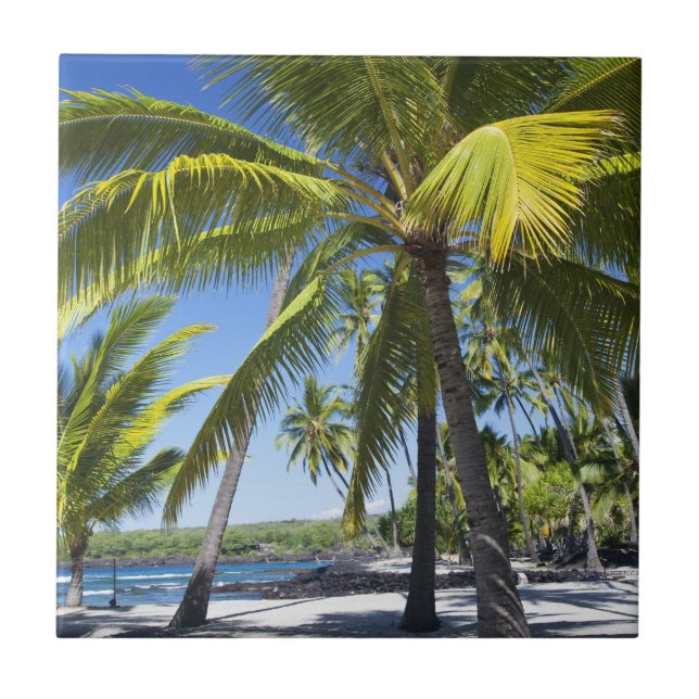Palm trees, National Historic Park Pu'uhonua Tile (Front)