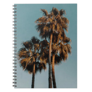 Palm trees notebook