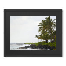 Palm Trees Ocean Koloa Kauai