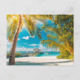 Palm Trees on A Beautiful Sunset Postcard
