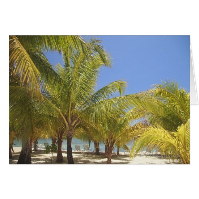 Palm Trees on a Honduras White Sand Beach (Front Horizontal)