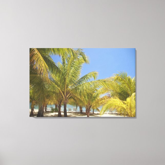 Palm Trees on a Honduras White Sand Beach Canvas Print (Front)