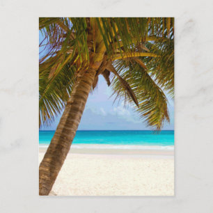 Palm Trees on Beach Blue Sea & Sky Postcard
