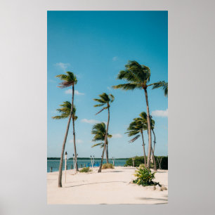 Palm trees on beach shore in the morning poster