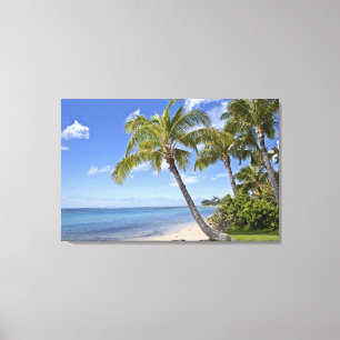 Palm trees on the beach in Hawaii. Canvas Print