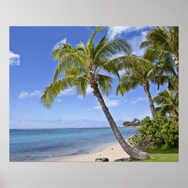 Palm trees on the beach in Hawaii. Poster (Front)
