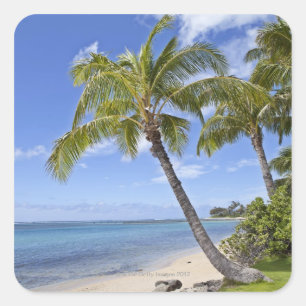 Palm trees on the beach in Hawaii. Square Sticker
