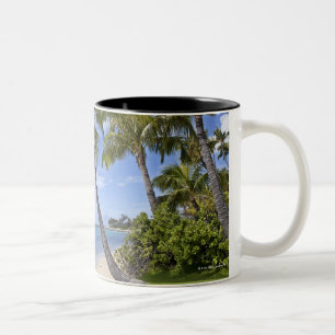 Palm trees on the beach in Hawaii. Two-Tone Coffee Mug
