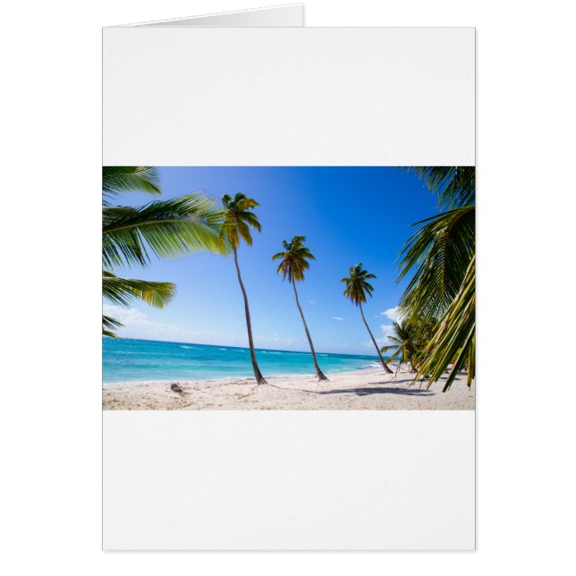 Palm trees on the beach of Isla Saona (Front)