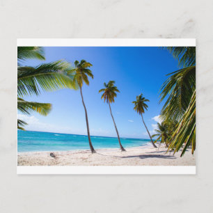 Palm trees on the beach of Isla Saona Postcard