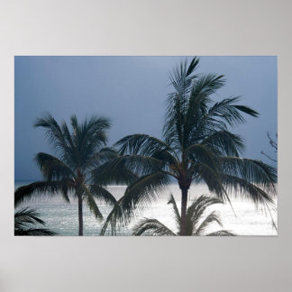 Palm Trees On The Beach Poster