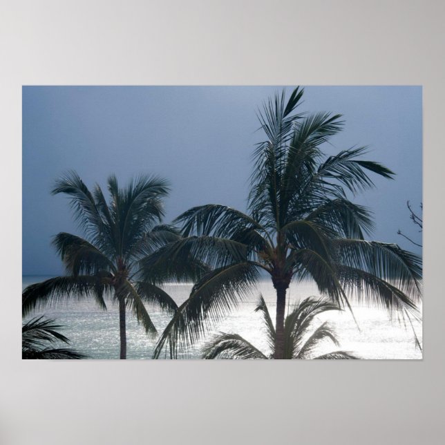 Palm Trees On The Beach Poster (Front)