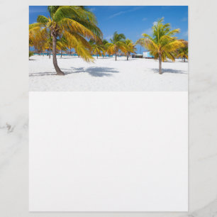 Palm trees on the ocean beach flyer