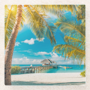 Palm Trees on the Sunset Glass Coaster