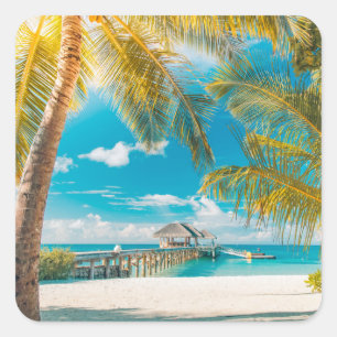 Palm Trees on the Sunset Square Sticker