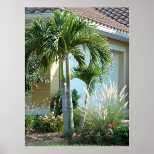 Palm trees Ornamental grass Poster