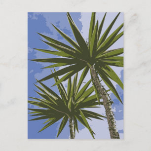 Palm Trees Postcard