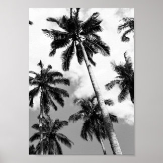 Palm trees poster