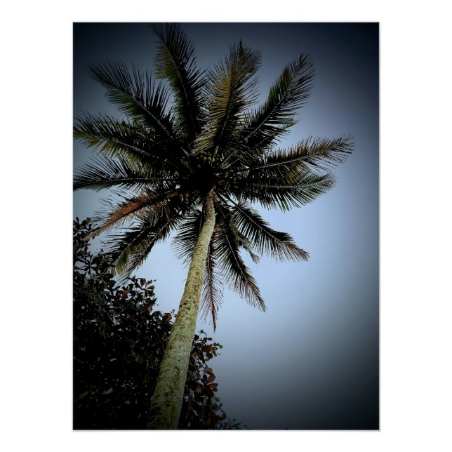 Palm trees poster (Front)