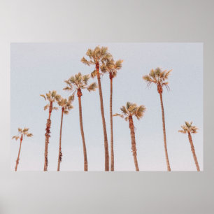 PALM TREES POSTER