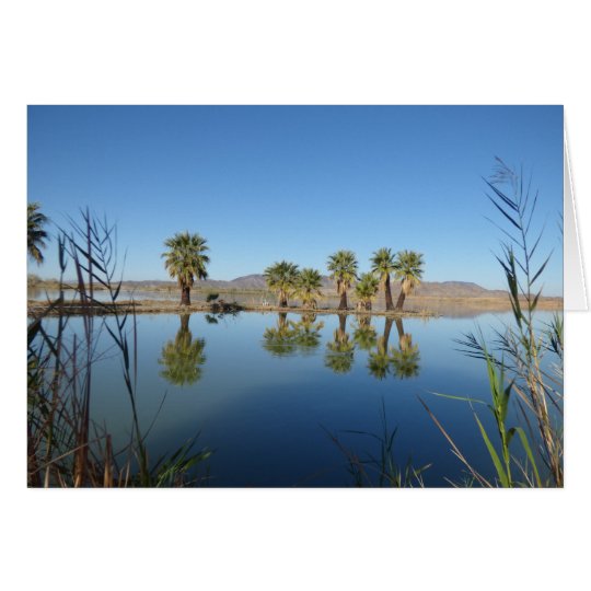 Palm Trees Reflected Card