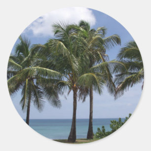 Palm Trees sticker