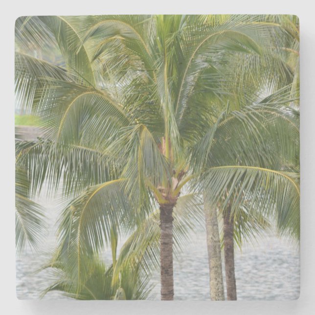Palm Trees Stone Coaster (Front)