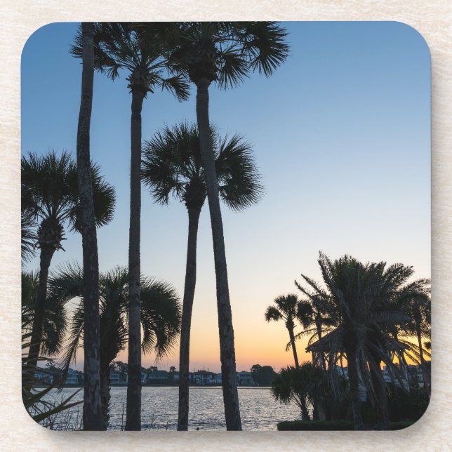 Palm Trees Sunrise Destin Florida Coasters Set 6 (Front)