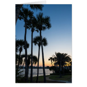 Palm Trees Sunrise Destin Florida Greeting Card