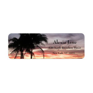 Palm Trees & Sunset
