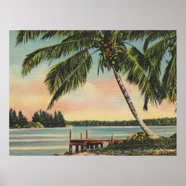 palm trees vintage poster (Front)