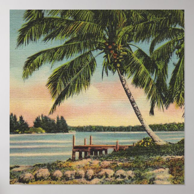 palm trees vintage poster (Front)