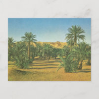 Palm trees, Wadi el Adjal, Libya