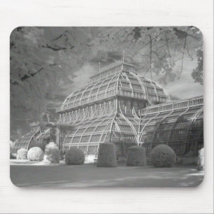 Palmenhaus Mouse Mat