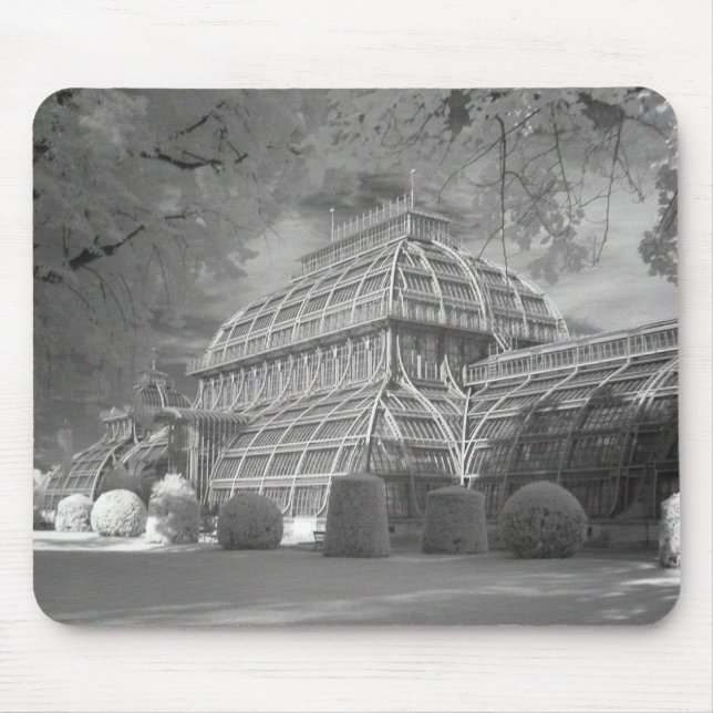 Palmenhaus Mouse Mat (Front)