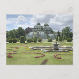 Palmenhaus Postcard