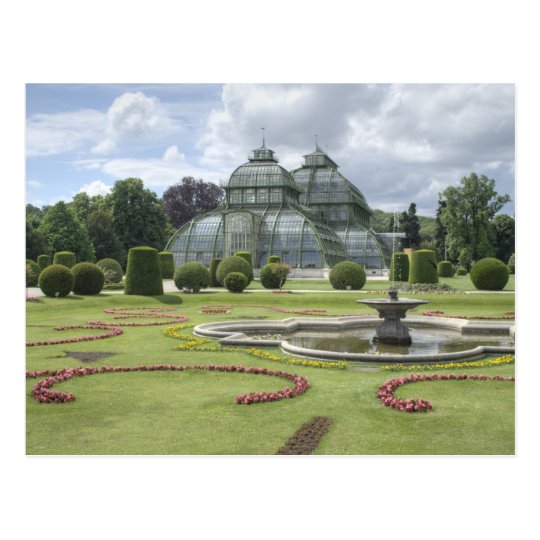 Palmenhaus Postcard