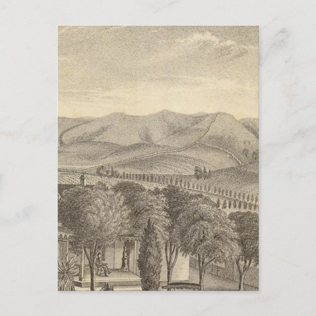 Palmer res, vineyard postcard (Front)