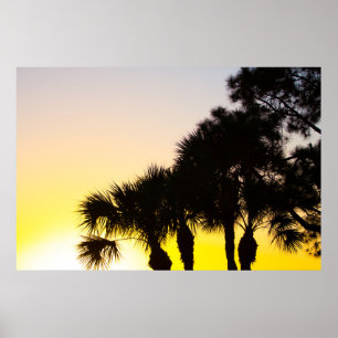 Palmetto and Pine Tree Sunrise, Port St. Lucie, FL Poster