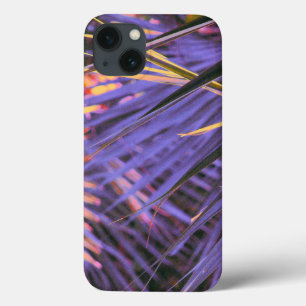 Palmetto Blue Abstract iPhone 13 Case