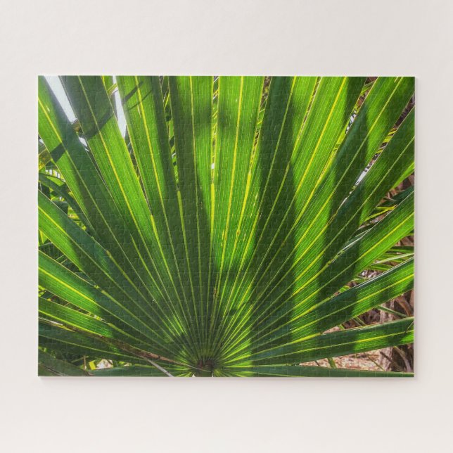 Palmetto Shadows on Palmetto Puzzle (Horizontal)