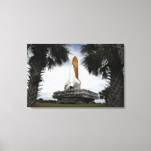 Palmetto trees frame space shuttle Endeavour Canvas Print
