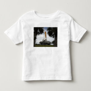 Palmetto trees frame space shuttle Endeavour Toddler T-Shirt