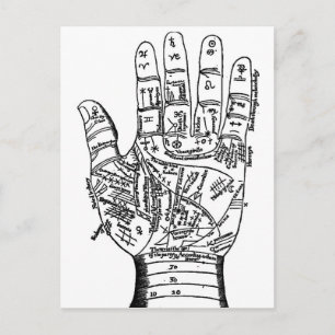 Palmistry Hand Map Postcard