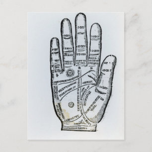Palmistry Postcard